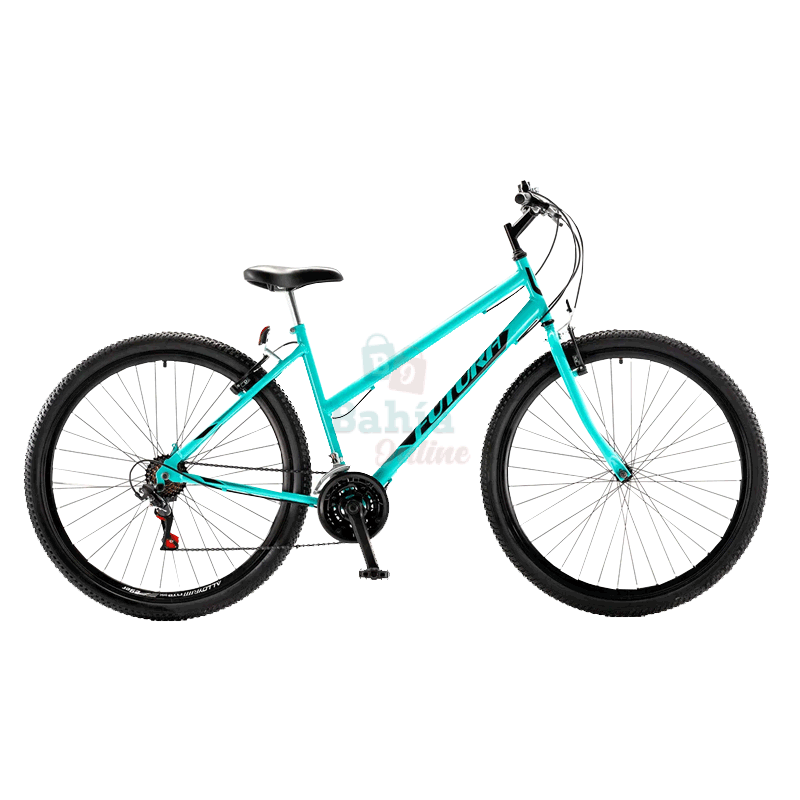 bicicleta-rodado29-mb-mujer-futura-1506