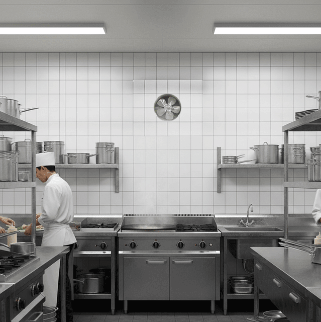 extractor-pared-25cm-b-1162